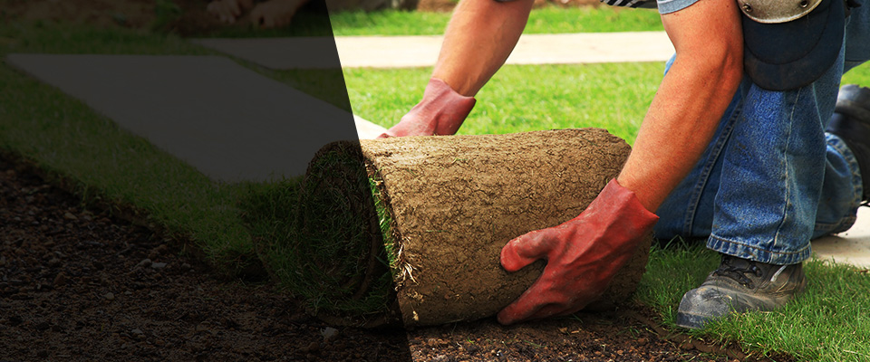 Brewer Landscapers